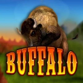 Bingo logo of Buffalo Bingo from MGA Games at Zeus Bingo