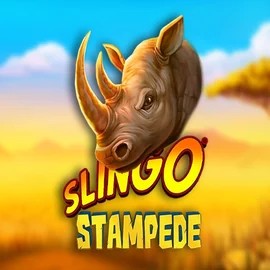 Slingo Stampede slot visual from Slingo available on zeusbingo.eu